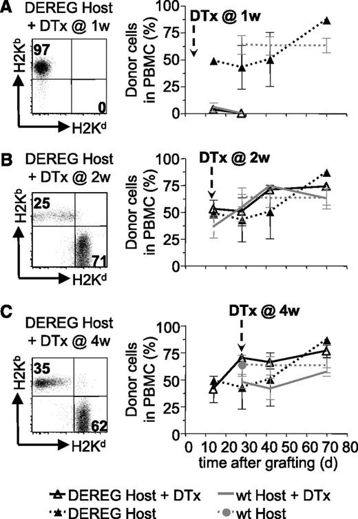Figure 4. Host Treg are not required for persistence of BM tolerance. Sublethally irradiated DEREG or WT mice were grafted with DBA/2 BM under cover of 2.106 DEREG Treg in vitro cultured in presence of (B6 × DBA/2)F1 antigen-presenting cells. Treg depletion, by diphtheria toxin (DTx) injection, was performed 1 (A), 2 (B), or 4 (C) weeks after transplantation. BM allograft survival was assessed by flow cytometry (illustrated in left panels) up to 10 weeks after grafting by analyzing the percentage of allogeneic cells in PBMC (quantitative assessment in right panels). Indicated are mean values ± SD (n ≥ 4, 4 independent experiments).