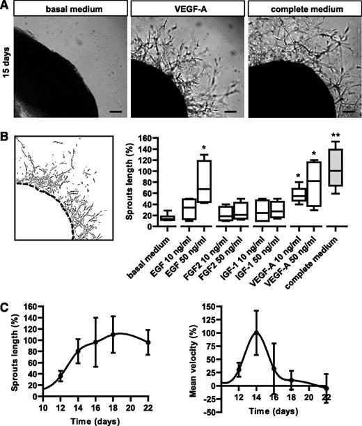 Figure 2. Modulation of angiogenic sprouts by growth factors. (A) Representative micrographs of hARs treated with basal medium (EBM-2), basal medium plus VEGF-A (10 ng/mL), or complete medium (EGM-2) for 15 days. Scale bar represents 200 μm. (B) The left panel shows representative output data of computer-assisted image analysis, as shown in supplemental Figure 3A. The right panel shows quantification of the angiogenic outgrowth at 15 days of hAR culture. 5% FCS EBM-2 plus heparin (basal medium) with the addition of indicated concentrations of specific GFs or complete EGM-2 (complete medium). Values shown are box-and-whisker plots, normalized to the median of complete medium hARs, of 3 independent experiments, each from 6 different umbilical cords (*P < .05 vs basal medium hARs; **P < .01). (C) Time course of angiogenic outgrowth lengths (normalized to day 16) and velocity (normalized to day 14) of hARs cultured with complete medium (EGM-2). Values shown are mean ± SD of 3 independent experiments, each from 6 different umbilical cords. Graphs represent the computer-assisted quantification shown in supplemental Figure 2A.