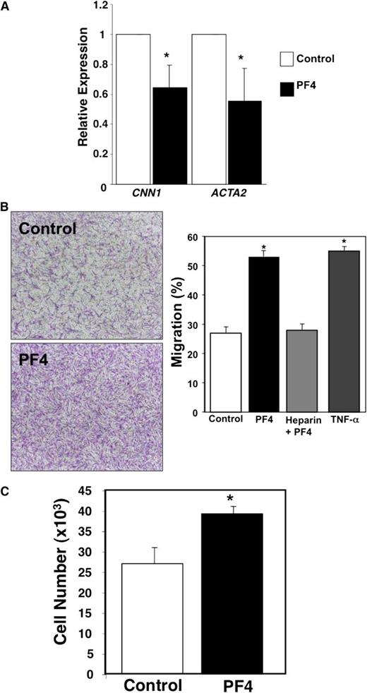 Figure 5. PF4 promotes a VSMC synthetic phenotype. (A) VSMCs were treated with PF4 (1 µg/mL), and the expression of CNN1 and ACTA2 was determined by qRT-PCR (n = 4 ± SD; *P < .01 vs control). (B) Transwell chamber cell migration. VSMC migration after 18 hours to the basal aspect of a transwell chamber was determined in response to buffer or PF4 (1 µg/mL). Heparin was used as a negative control and tumor necrosis factor-alpha (100 ng/mL) as a positive control (n = 3 ± SD; *P < .01 vs control). (C) Cell proliferation. A total of 20 000 cells were plated, and the number of cells was counted 24 hours later using XTT staining (n = 3 ± SD; *P < .01 vs control).
