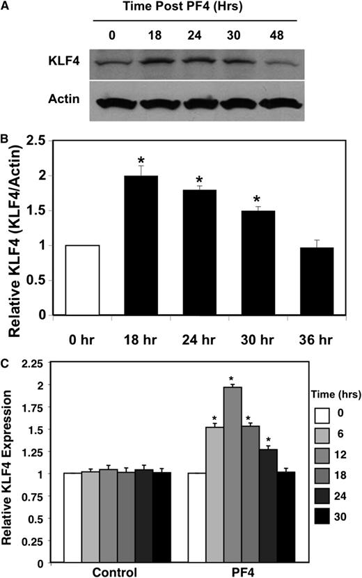 Figure 6. PF4 increases KLF4. (A) Protein expression. HCASMCs were treated with PF4, and KLF4 expression was determined by western blot (representative). (B) Quantification of band density relative to actin control (n = 3 ± SD; *P < .01 vs 0). (C) PF4 increases HCASM cell KLF4 mRNA expression. VSMCs were treated with PF4, and KLF4 mRNA was quantified by qRT-PCR (n = 3 ± SD; *P < .01 vs 0).