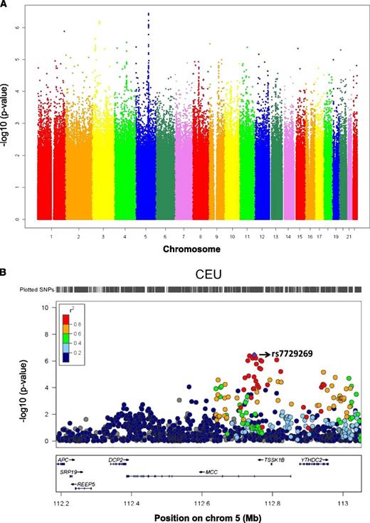 Figure 2. Meta-analysis of GWAS in CEU, YRI, ASW, and ASN populations. (A) The Manhattan plot shows the meta-analysis results on GWAS of cellular susceptibility to cytarabine in 4 world populations (n = 523 individual samples). The highest-ranked SNP was rs7729269 (P = 3.67 × 10−7) in the gene MCC. (B) The plot shows P values from the meta-analysis of GWAS in CEU, YRI, ASW, and ASN populations for the top SNP associations with cytarabine log2 AUC in a specific region on chromosome 5. The colors, as indicated in the legend, denote the extent of LD between the SNPs; for this purpose, we use only the CEU reference population. The bottom panel illustrates the chromosomal region and genes that these SNPs fall on. The figure was made in LocusZoom.