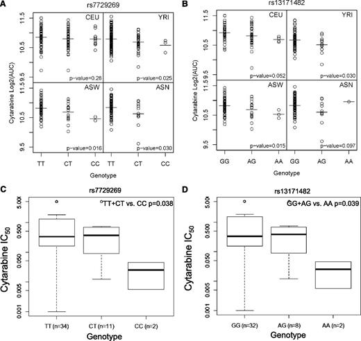 Figure 3. Association of SNPs within MCC with cytarabine sensitivity in LCLs and in leukemic blasts. MCC SNPs plotted against log2 AUC in LCLs for (A) rs7729269 and (B) rs13171482, and MCC SNPs plotted against IC50 (dose required to inhibit growth of 50% of cells) in leukemic blasts for (C) rs7729269 and (D) rs13171482.