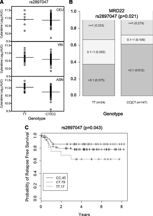 Figure 4. SNP rs2897047 association with log2 AUC in LCLs and association with MRD and RFS in all AML patients. Association of SNP rs2897047 with (A) log2 AUC for cellular sensitivity to cytarabine in a cell-based model (meta-analysis P = 4.06 × 10−6) illustrated in CEU, YRI, and ASN; (B) MRD at day 22 in all AML patients (P = .0218), where the numbers in each box represent MRD levels <0.1, 0.1 to 1, or ≥1 and the numbers in parentheses indicate fraction of patients within each MRD category; and (C) RFS (P = .043) in all AML patients.