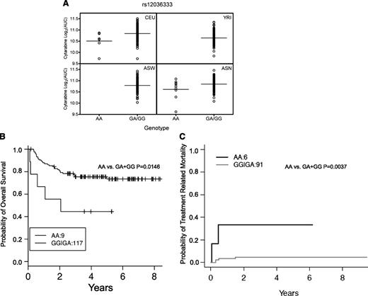 Figure 5. SNP rs12036333 association with log2 AUC in LCLs and association with OS and TRM. Association of SNP rs12036333 (AA versus GA/GG) with (A) log2 AUC for cellular sensitivity to cytarabine in cell-based model in all populations (P = .007), (B) OS (P = .0146), and (C) TRM in white AML patients (P = .0037).