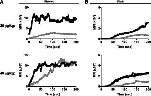 Figure 2. Platelet and fibrin accumulation following laser-induced arteriole injury in HA mice upon infusion of FVIII variant proteins. The graphs show the time course of real-time thrombus formation in mice injected with recombinant protein FVIII-BDD (gray) or FVIII-RH (black) with a total of 10 to 15 injuries (n = 3 mice per FVIII variant) for the low-dose cohort and 25 injuries (n = 5 mice per FVIII variant) for the high-dose cohort. Median fluorescence intensity (MFI) for platelet (A) and fibrin (B) are plotted vs time.