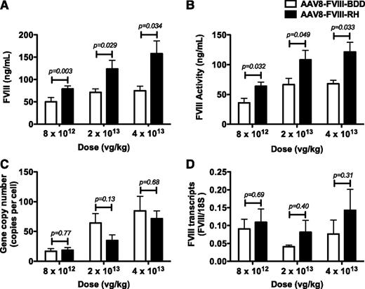 Figure 5. Expression of FVIII-RH and FVIII-BDD following AAV-mediated liver gene transfer. The graphs show circulating FVIII antigen (A) and FVIII activity by chromogenic assay (B) in HA/CD4-deficient mice 8 weeks after injection with AAV-FVIII-RH or AAV-FVIII-BDD at the doses indicated (n = 5 to 13 mice per group per dose). Liver sections of HA/CD4-deficient mice injected with AAV-FVIII-BDD (total n = 15) or AAV-FVIII-RH (total n = 14) harvested 14 to17 weeks after vector injection for the determination of (C) AAV DNA content and (D) FVIII-RNA are shown. P values determined by Student t test are shown.