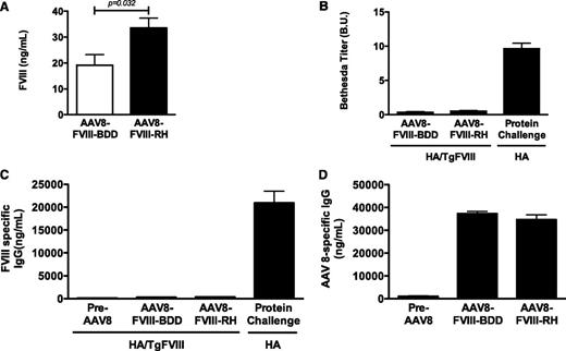Figure 7. Efficacy and immunogenicity of the expression of FVIII variants in the HA mouse model. Transgenic HA mice tolerant to human FVIII-BDD due to platelet-restricted FVIII expression received AAV8 vector encoding for FVIII-RH (n = 10) or FVIII-BDD (n = 7). (A) Circulating antigen levels of FVIII at 8 weeks after vector injection are shown in the graph. (B) The graph shows inhibitory antibody detected by Bethesda assay. Positive controls included nontolerant HA mice (n = 6) with antibody to human FVIII following repeated injections with recombinant FVIII protein. (C) The graph shows mouse anti-human FVIII antibody detected by enzyme-linked immunosorbent assay. (D) The graph shows humoral responses to AAV serotype 8 capsid at baseline and at 6 weeks after AAV injection at doses of 8 × 1012 vg/kg of AAV-FVIII-RH (n = 10) or AAV-FVIII-BDD (n = 7). P value is indicated.