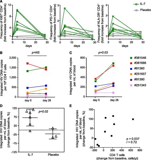 Figure 3. IL-7 administration increases the absolute number of CD4+ T cells harboring integrated HIV DNA. (A) Fold changes in the frequencies of CD4+ T cells expressing Ki67, PD-1, and HLA-DR, 4 and 28 days following IL-7 administration as measured by flow cytometry. (B) Frequency of CD4+ T cells harboring integrated HIV DNA at baseline and 28 days after IL-7 administration. (C) Number of CD4+ T cells harboring integrated HIV DNA per milliliter of blood at baseline and 28 days after IL-7 administration. (D) Change from baseline in the absolute number of integrated HIV DNA copies per milliliter of blood in subjects who received IL-7 and in placebo controls. (E) Correlation between the change in CD4+ T-cell numbers and the increase in the frequency of cells harboring HIV integrated DNA per milliliter of blood.