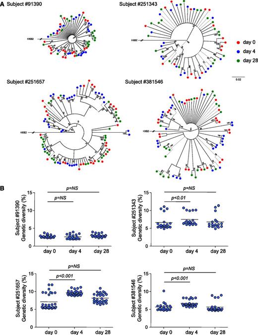 Figure 4. IL-7 administration transiently increases the genetic diversity of the HIV reservoir. (A) Neighbor-joining trees derived from HIV sequences obtained from 4 virally suppressed subjects who received IL-7. CD4+ T cells from samples collected at baseline (green dots) and after 4 (blue dots) and 28 days (red dots) following IL-7 therapy were sorted, and a minimum of 20 clones were sequenced in each case. The numbers near nodes indicate the percentage of bootstrap replicates. The scale refers to the distance between sequences. (B) HIV genetic diversities at baseline and 4 and 28 days after IL-7 administration. Each dot represents the mean genetic distance between one given clone and the entire population. The horizontal bar represents the mean and is reflecting the genetic diversity of the viral population at the different time points.