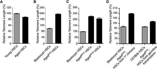 Figure 3. Single-cell telomere length analysis of HSCs from various sources. (A) The relative telomere length was measured by qPCR in single sorted HSCs in 2 independent experiments from 3 individual young and aged mice (n = 251 and 246 cells in each group, respectively). (B) Single cell telomere length measurements of blastocyst- and agedBiPS2-derived HSCs from an agedBiPS2 primary chimera (n = 86 and 66 cells in each group, respectively). (C) Relative telomere length in blastocyst, agedBiPS1- and agedBiPS2-derived HSCs isolated from repopulated recipient mice (2 independent isolations, n = 200, 130, and 53 cells, respectively). (D) Relative telomere length in (left) blastocyst and agedBiPS derived HSCs from a germline founder (agedBiPS2 primary chimera, n = 43 and 41 cells in each group, respectively) and (right) from a germline offspring mouse compared with an age-matched C57BL/6 control (n = 84 cells in each group). Error bars indicate mean ± SEM.