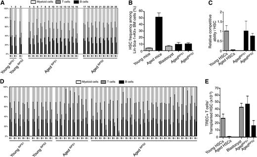 Figure 4. Hematopoiesis derived from iPS lines with an aged hematopoietic progenitor origin display multiple young functional characteristics. (A) Ratios of the peripheral lineage distribution in individual chimeric animals derived from young and aged BiPS lines. Chimeric ratios are depicted as previously described26,27 for both blastocyst derived (B) and iPS derived (i) hematopoiesis. Numbers above bars denote individual mice, whose total blood cell chimerism can be found in supplemental Table 2. (B) The frequency of HSCs among lineage negative Sca-1 positive c-kit positive BM cells in steady-state young and aged mice (3 independent experiments, 6 and 9 mice, respectively), and among blastocyst- and agedBiPS-derived lineage negative Sca-1 positive c-kit positive BM cells in primary chimeras (3 independent experiments, totaling 8, 3, and 5 mice, respectively). (C) Competitive repopulating ability of young, aged, agedBiPS1, and agedBiPS2 HSCs assessed as the ability of each transplanted HSC to repopulate the peripheral myeloid compartment of lethally irradiated young recipients 16 weeks posttransfer (3 independent experiments, n = 5, 25, 12, and 25 mice per group, respectively). (D) In vivo lineage distribution after transplantation of young and aged BiPS HSCs into lethally irradiated young recipients. Analysis was performed (as in A). (E) The ability of transplanted young, aged, blastocyst, agedBiPS1, and agedBiPS2-derived HSCs to generate naïve TREC+ T cells in repopulated recipient mice (from 2 independent experiments, totaling 4, 4, 10, 3, and 7 mice, respectively). Bars depict mean ± SEM.
