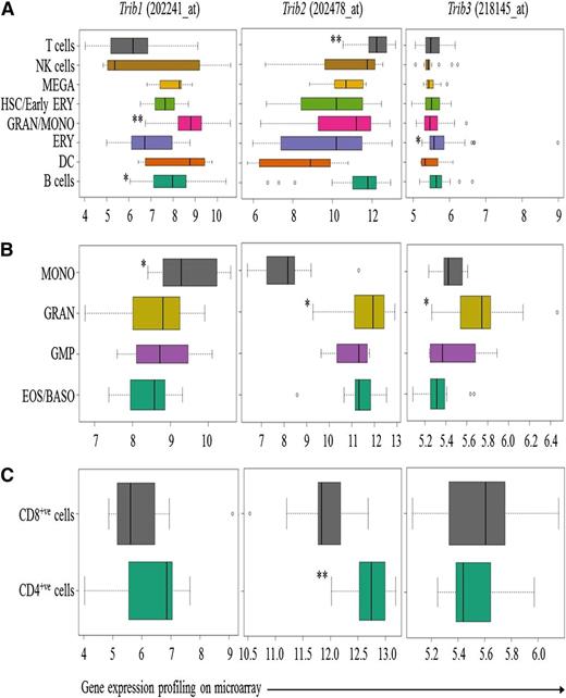 Figure 1. Distributions of Trib1-3 expression in human hematopoietic system. Expressions of Trib1-3 in (A) different hematopoietic cell lineages and among the different cell populations of (B) Granulocyte/Monocyte and (C) T-cell lineages were examined by using the LGA based on the gene expression data set from Novershtern et al.2 Statistically significant increases of Trib1-3 expressions, marked by *adjusted P < .05 and **adjusted P < .001, were determined by Welch’s t test.