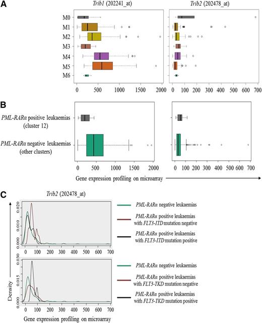 Figure 2. Elevated expression of Trib2 in PML-RARα–positive leukemias is associated with FLT3-TKD but not FLT3-ITD mutations. Expressions of Trib1 and Trib2 in (A) different FAB subtypes and (B) between PML-RARα– positive and –negative leukemias were examined by using the LGA based on the gene expression data set from Valk et al.9 (C) Trib2 expression in PML-RARα–positive leukemias was further stratified based on FLT3-ITD and -TKD mutation status and compared with that of PML-RARα–negative leukemias.