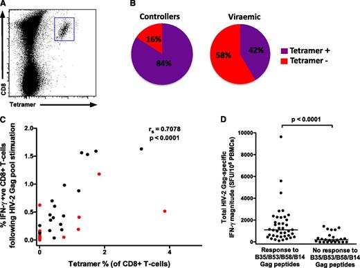 Figure 3. HIV-2 Gag-specific CD8+ T cells enumerated by peptide-MHC class I tetramers reveal a highly focused response. (A) Example of tetramer staining. (B) A greater proportion of HIV-2 controllers (16 of 19) have detectable immunodominant Gag-specific tetramer populations than viremic individuals (5 of 12) (P = .02). (C) A significant correlation exists between tetramer-positive cells and the IFN-γ response to the total Gag pool (n = 31; viremic donors in red; Spearman’s rank correlation coefficient). Where 2 different tetramer responses were present (in 4 subjects), these were added together. (D) The total Gag-specific IFN-γ response (as measured by ELISpot assays) according to presence or absence of responses to the 4 immunodominant epitopes (n = 64; data reanalyzed from Leligdowicz et al11; 2-tailed Mann-Whitney U test).