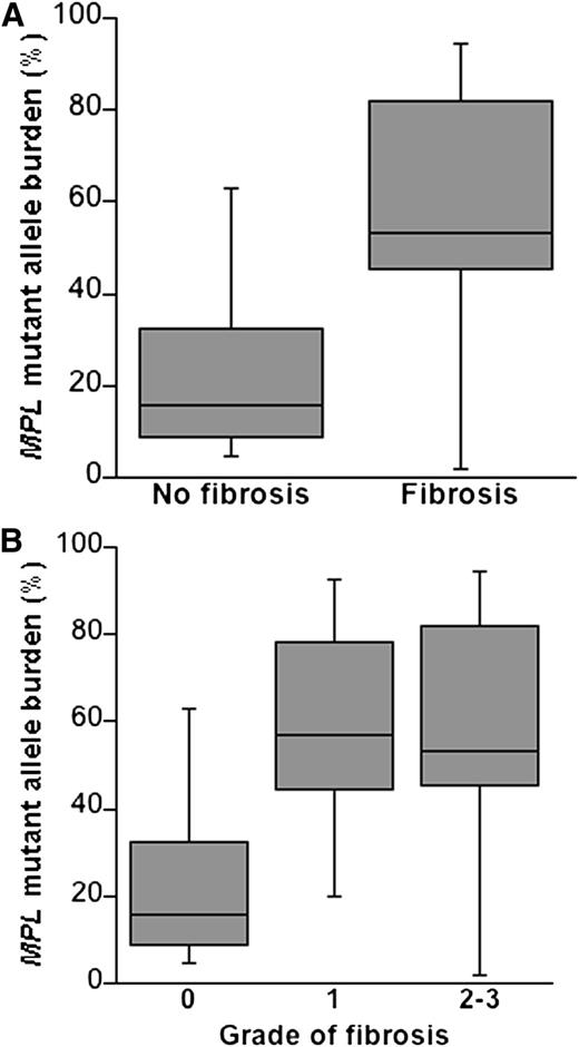 Figure 3. Granulocyte MPL-mutant allele burden according to the degree of bone marrow fibrosis in patients with myeloproliferative neoplasms. Data are shown in a box plot depicting the lower and upper adjacent values (lowest and highest horizontal line, respectively) and lower and upper quartile with median value (box). (Upper panel, A) The proportion of MPL-mutant alleles was significantly higher in patients with bone marrow fibrosis than in those without bone marrow fibrosis (P < .0001). (Lower panel, B) The relationship also remained statistically significant (P = .0001) when categorizing patients according to grade of fibrosis (grade 0 vs grade 1 vs grade 2 to 3), defined according to the European consensus criteria.25