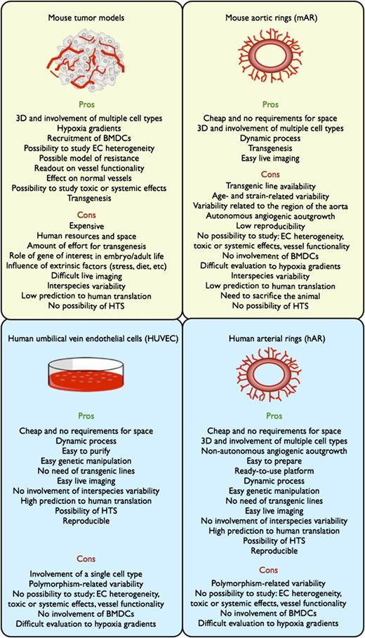 Scheme showing advantages and limitations of angiogenic assays. The yellow boxes refer to assays developed in mouse, and the sky-blue boxes refer to assays with human biomaterials. Pros and cons reflect the potential of these systems to study the angiogenic process and to validate pharmacologically or genetically the relevance of a certain pathway during angiogenesis. 3D, three-dimensional; BMDCs, bone marrow–derived cells; HTS, high-throughput screening; EC, endothelial cell.
