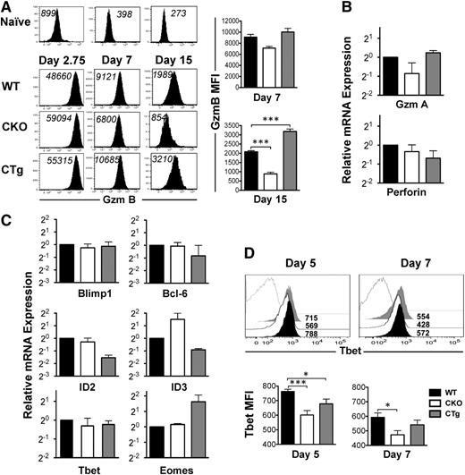 Figure 5. Altered CD8 T-cell transcriptional profile upon gain or loss of expression of miR-17∼92. Effector status of wild-type, CKO, and CTg donor cells was assessed by analyzing the expression of effector molecules and specific transcription factors implicated in effector and memory fate specification. (A) Representative histogram plots of GZMB expression at days 2.75, 7, and 15 after infection are presented. CD8WT (Thy1,1+) and CD8CKO (Thy1.2+) or CD8CTg (Thy1.2+) P14 cells were cotransferred into congenically mismatched naïve B6 mice, which were infected with LCMV. For day 2.75 analysis, 106 naïve donors were adoptively transferred, and for days 7 and 15 analyses, 105 donors were used. MFI of GZMB expression is indicated in black. Adoptively transferred uninfected mice were used as controls to show the level of GZMB expression in naïve CD8 T cells. Bar charts represent mean ± SEM values of MFI of GZMB expression in gated donors at days 7 and 15 after infection. Results are representative of 2 independent experiments, with n ≥ 3 in each group. (B) Bar graphs show relative levels of GZMA and Perforin, mRNA in purified wild-type, CKO, and CTg donor cells at day 7 after infection. Data were normalized using glyceraldehyde 3-phosphate dehydrogenase (GAPDH) mRNA and represent 2 independent experiments. (C) Relative mRNA levels of Blimp, Bcl-6, ID2, ID3, eomesodermin, and T-bet in wild-type, CKO, and CTg CD8 T cells using quantitative reverse-transcriptase PCR are presented at day 7 after infection. Data from two independent experiments are presented as bar graphs of mean ± SEM relative mRNA levels, with wild-type mRNA levels normalized using GAPDH or HPRT controls. (D) T-bet expression in wild-type (black filled), CKO (black line), and CTg (gray filled) CD8 T cells was assessed at days 5 and 7 after infection in spleen. Numbers indicate MFI of T-bet expression and gray line histograms represent naïve controls. Mean ± SEM values of T-bet MFI on days 5 and 7 post infection are presented as bar graphs. Results are representative of 4 independent experiments, with n ≥ 2 to 3 per group. Unpaired Student t test was used for comparison of means.