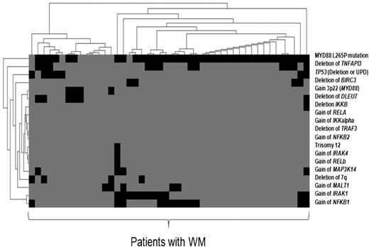 Figure 2. The heat map represents co-occurrence of MYD88 L265P mutation with other genetic alterations analyzed in 46 patients with WM using SNP array, cytogenetic analysis, and FISH. We have used Tmev software.15 Each row corresponds to key regulator genes of the canonical and noncanonical NF-κB pathways targeted by CNA, UPD, or mutation in WM. The columns represent individual patients color coded on the base of gene status. Each patient is represented by a virtual column (black mutation, deletion or gain of gene; gray, wild-type).