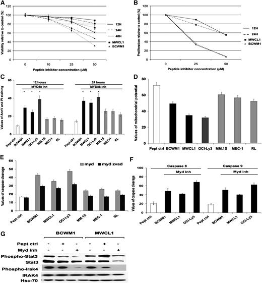 Figure 4. Inhibition of MYD88 signaling induced cytotoxicity and inhibited cell growth in cells expressing MYD88 L265P mutation. Data represent the mean of triplicate experiments plus or minus standard deviation. (A-B) Inhibition of MYD88 by the MYD88 inhibitor induced cytotoxicity and inhibition of cell growth on BCWM1 and MWCL1 cell lines developed from patients with WM, characterized with MYD88mut. The data are compared with the control peptide (peptide crtl) provided by the manufacturer. Time points varied from 12 to 48 hours, and concentrations from 10 to 50 µM. (A) Cytotoxicity. (B) Inhibition of cell growth proliferation (*P < .05, significant difference with the control). (C-F) Inhibition of MYD88 induced apoptosis in MYD88 mutated cell lines, BCWM1, MWCL1, and OCI-Ly3, and to a lesser extent in MYD88wild cell lines, MEC-1, RL, and MM.1S. (C) The percentage of cells undergoing apoptosis was studied using annexin V–positive and propidium iodide–negative staining and flow cytometry at 12 and 24 hours, and at 25 µM (BCWM1, MM.1S, MEC-1, and RL) and 50 µM (MWCL1 and OCI-Ly3) of MYD88 inhibitor. (D) Study of mitochondrial membrane potential at 12 hours with 25 µM and 50 µM of MYD88 inhibitor, respectively. (E) Study of caspase 3 activity (caspase cleavage) in presence of the pan-caspase inhibitor Z-VAD-fmk (50 µM) at 12 hours with 25 µM and 50 µM of MYD88 inhibitor, respectively. (F) Study of caspase 8 and 9 cleavage in all 3 cell lines that are MYD88 mutated, BCWM1, MWCL1, and OCI-Ly3, at 12 hours with 25 µM and 50 µM of MYD88 inhibitor, respectively. (G) Inhibition of MYD88 signaling downregulates phosphorylation of STAT3 and IRAK4 in BCWM1 and MWCL1 cell lines. Cell lines were treated for 12 hours at 25 µM and 50 µM of MYD88 inhibitor, respectively.