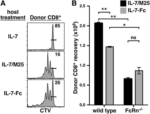 Figure 4. Association with an IgG Fc improves in vivo mitogenic effect of IL-7 on CD8+ T cells. (A) B6.CD45.2 hosts received intravenous injections of 4.5 × 106 CTV-labeled B6.CD45.1+ LN cells on day 0 and intraperitoneal injections on days 1, 3, and 5 of rhIL-7 (1.5 μg), rhIL-7/M25 (1.5 μg/7.5 μg), or IL-7-Fc (in vitro activity equal to 1.5 μg rhIL-7). Shown here are CTV histograms of CD45.1+ TCRβ+CD8+ cells from host LNs analyzed at day 7 representative of at least 3 experiments with 2 separately analyzed mice per treatment group. (B) CD8+ cells were purified from LN of B6.CD45.1+ donors, CFSE-labeled, and adoptively transferred (1.8 × 106 per host) by intravenous injection to CD45.2+ hosts, either wild-type or FcRn−/−, at day 0. Hosts received intraperitoneal injections on days 1, 3, and 5 of PBS alone, rhIL-7/M25 (3 μg/15 μg), or IL-7-Fc (equivalent of 3 μg rhIL-7). The number of CD45.1+ TCRβ+CD8+ cells recovered from host LNs and spleen at day 7 is shown (2 mice per group ± SEM). Results are representative of 2 experiments with 2 to 3 separately analyzed mice per group. *P < .05; **P < .005; ns, not significant.