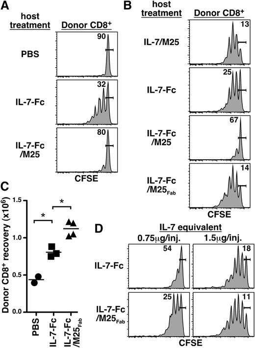 Figure 5. M25Fab, but not M25, further improves the in vivo mitogenic effect of IL-7-Fc on CD8+ T cells. (A) B6.CD45.2+ host mice received 3.5 × 106 purified and CFSE-labeled CD45.1+CD8+ T cells intravenously on day 0 and intraperitoneal injections of PBS, IL-7-Fc (equivalent of 1.5 μg rhIL-7), or IL-7-Fc/M25 (equivalent of 1.5 μg rhIL-7/7.5 μg of M25) on days 2, 4, and 6. On day 8, donor cell proliferation in host LN and spleen was determined by flow cytometry. Shown are CFSE histograms of CD45.1+TCRβ+CD8+ lymphocytes representative of at least 3 experiments with 2 separately analyzed hosts per group. (B) CFSE-labeled B6.CD90.1+ LN cells (5 × 106) were adoptively transferred to B6.CD90.2+ hosts on day 0. Intraperitoneal injections administered to hosts on days 1, 3, and 5 consisted of PBS, rhIL-7/M25 (1.5 μg/7.5 μg), IL-7-Fc (equivalent of 1.5 μg rhIL-7), IL-7-Fc/M25 (equivalent of 1.5 μg rhIL-7/7.5 μg of M25), or IL-7-Fc/M25Fab (equivalent of 1.5 μg rhIL-7/equivalent of 7.5 μg M25). Day 7 CFSE profiles of CD90.1+TCRβ+CD8+ LN cells are depicted. Data are representative of at least 3 experiments with 1 to 4 separately analyzed mice per group. (C) Combined data from 2 identical experiments as described in (B), numbers of CD90.1+TCRβ+CD8+ cells recovered for LNs and spleens of mice treated with PBS (solid circles), IL-7-Fc (solid squares), or IL-7-Fc/M25Fab (solid triangles). Data are representative of 3 similar experiments. *P < .05. (D) B6.CD90.2+ hosts received 3 × 106 CFSE-labeled purified CD90.1+CD8+ T cells intravenously on day 0 and intraperitoneal injections on days 1, 3, and 5 of IL-7-Fc (IL-7 equivalents as indicated) alone or with M25Fab (M25 equivalents of either 3.75 μg, left; or 7.5 μg, right). Donor cell proliferation in host LNs and spleens was analyzed on day 7; shown are CFSE histograms gated on CD90.1+CD8+ lymphocytes that are representative of at least 2 experiments with 2 separately analyzed hosts per condition.