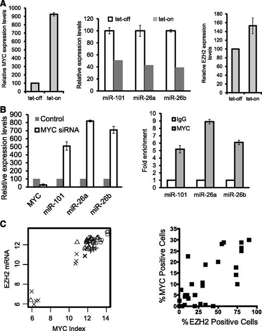 Figure 2. Inhibition of EZH2 expression by miRNA-101 and miRNA-26, which are suppressed by MYC in NKTL cells. (A, left) MYC induction by tet-on. MYC overexpression was induced by treating cells with doxycycline. MYC expression was quantified by qRT-PCR analysis. (A, middle) Decreased levels of miR-101, miR-26a, and miR-26b in NKYS upon MYC induction by tet-on. (A, right) MYC induction by tet-on increases EZH2 mRNA levels. (B, left) Depletion of MYC by siRNAs results in induction of miR-101, mir-26a, and miR-26b transcription in NKYS cells. Cells were transfected with MYC siRNA or nontargeting siRNA as a control. Cells were harvested 48 hours after transfection for mRNA analysis of miR-101 and miR-26 gene levels by real-time PCR. (B, right) ChIP-qPCR for endogenous MYC binding to miR-101, miR-26a, and miR-26b genes. Fold enrichment in the ChIP experiment represents the signal obtained after MYC immunoprecipitation followed by qPCR amplified by primer pairs that spanned gene promoters. (C, left) Correlation between MYC activation index and EZH2 mRNA levels. Cross: Normal tissue; Plus sign: Normal NK; Triangle: NKTL; Circle: Cell Lines. R>0.95, P < 2.2*10–16. (C, right) Scatterplot showing the correlation between IHC MYC staining and EZH2 expression. Spearman correlation coefficient r for MYC v EZH2 = 0.76; P < .0001.