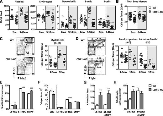 Figure 2. CD41-KO mice are pancytopenic, and CD41-KO HSCs display increased apoptosis and proliferation. (A) Complete blood cytometry quantification of the platelet, erythrocyte, and leukocyte compartments in 2- to 3-month-old and 9- to 10-month-old mice. Leukocytes were lineage analyzed by FACS for markers of myeloid (Mac1), B-cells (B220), and T-cells (CD4/CD8a) (n = 12-19). (B) Whole-BM cellularity in 2- to 3-month-old and 6- to 12-month-old mice (n = 16-29). (C-D) FACS plots of BM myeloid (C) and B-lymphoid (D) markers. Scatter plots show total cellularity per femur of gated populations in 2- to 3-month-old and 12-month-old mice. (A-D) Pre-proB and pre-B (B220+IgM−) cells, Frs. (E-F) Immature B-cells (B220+IgMlo-high) (n = 5-14). Bar diagrams showing the composition (E) and total numbers per femur (F) of the LSK compartment in WT and CD41-KO mice (n = 8-10). (G) Levels of Annexin-V+7aad- apoptotic HSC subsets (n = 8-10). (H) In vivo BrdU incorporation assays of HSC subsets (n = 8-10). Error bars, SEM. *P < .05, **P < .01, ***P < .001 by Student t test. Frs, fractions; G, granulocytes (Mac1+Gr1+); M, monocytes/macrophages (Mac1+Gr1−).