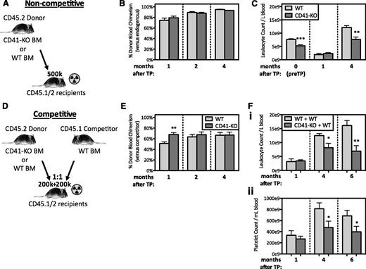 Figure 3. The hematopoietic defects of CD41-KO mice are LT transplantable and negatively affect WT hematopoiesis. (A) Noncompetitive transplantation setup: 500 000 WT or CD41-KO unfractionated BM were injected per recipient. (B) Donor chimerism vs endogenous cells shows near-total myeloablation of recipients (n = 5). (C) Complete blood cytometry analysis showing total leukocyte count in peripheral blood under steady-state conditions (0 months) and in recipient mice 1 and 4 months after BM transplantation with WT or CD41KO cells (n = 11-13). (D) Competitive transplantation setup: WT or CD41-KO BM cells were injected into recipients mixed at equal ratios (1:1; 200 000 + 200 000) with congenic WT BM competitor cells. (E) Donor chimerism level in peripheral blood of recipient mice at 1, 2, and 4 months after transplantation (n = 18-23). (F) Complete blood cytometry analysis of total peripheral blood showing (i) leukocyte and (ii) platelet numbers in recipients receiving either WT+WT or WT+KO cells (n = 4). Error bars, SEM. *P < .05, **P < .01, ***P < .001 by Student t test.