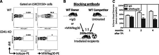 Figure 6. Antibodies against CD41 (clone MWReg30) impair LT repopulation of WT HSCs. (A) Representative FACS plots showing the staining pattern of the MWReg30-PE (anti-CD41) antibody used for blocking experiments in panels B and C, on WT (top right) or CD41-KO (bottom right) LSKCD150+ LT-HSCs. IgG1, κ isotype control staining shown in left column. Note the absence of MWReg30 staining on CD41-KO HSCs confirming its specificity for HSC-bound CD41 antigen. (B) Blocking antibody competitive transplantation setup: WT cells were incubated with isotype or MWReg30 antibodies and injected into recipients mixed at equal ratios (1:1; 200 000 + 200 000) with congenic WT BM competitor cells. (C) Bar diagrams showing donor chimerism level in peripheral blood of recipient mice at 1, 2, and 4 months after transplantation (n = 10-11). Error bars, SEM, **P < .01, ***P < .001 by Student t test.