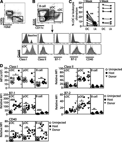 Figure 1. Allogeneic IUHCTx leads to maturation of host and donor-derived APCs. BALB/c fetuses were transplanted with B6 fetal liver hematopoietic cells and analyzed at 1 and 5 weeks after transplantation. (A) Detection of donor cell cells among host cells in peripheral blood after first gating on CD45+ leukocytes. Chimerism was calculated as donor-derived (H-2Kb) CD45+ cells/total CD45+ cells. (B) Gating strategy to detect host and donor-derived APCs. cDCs (CD11cHiB220Low), pDCs (CD11cdimB220Hi), and B cells (CD11c−B220Hi) were identified within the H-2Kd (host) or H-2Kb (donor) populations. (C) Comparison of splenic cDCs and circulating leukocyte chimerism (Lk) at 1 and 5 weeks. cDC chimerism was calculated by dividing the number of donor-derived cDCs by the total cDCs in the spleen of engrafted mice. (D) Relative MFI of class II, B7-1, B7-2, and CD40 on host- and donor-derived APCs in spleens of naive and chimeric animals was calculated relative to a baseline population (CD11c−B220−) to account for experimental variability. Uninjected, n = 9; chimera, n = 7. P values: *<.05, **<.01, ***<.001, ****<.0001 by Student t test.