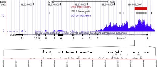 Figure 1. BCL6 translocation breakpoints in human B-cell lymphomas. The top 3 tracks in this University of California, Santa Cruz, Genome Browser snapshot show the 2156-bp BCL6 break window defined in this study (red), the location of BCL6 breaks analyzed here (black), and the H3K4me3 chromatin immunoprecipitation–seq read density in the lymphoma cell line OCI-Ly1 (blue). The fourth track shows exons 1 to 11 of the BCL6 gene (rectangles), with exon 1 at the far right. Exons 1, 2, 3, and parts of exons 4 and 11 are untranslated. The red line in the bottom panel is a magnified view of the 2156-bp break window within BCL6 intron 1. The numbering corresponds to human chromosome 3q (NCBI36/hg 18). The open triangles denote BCL6 breaks in IgH–BCL6 translocations, the gray triangles denote BCL6 breaks in IgL translocations (11 λ and 1 κ), and the filled black triangles denote BCL6 breaks in non-Ig translocations.