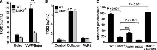 Figure 3. LIMK1 selectively promotes VWF-stimulated platelet TXB2 production and platelet adhesion under shear stress. (A-B) TXB2 production in WT and LIMK1−/− platelets stimulated with: (A) VWF and botrocetin or with botrocetin alone as a control, or (B) collagen or PAR4AP. All data are expressed as mean ± standard error. Statistical significance was determined using the Student t test, **P < .01. (C) Stable adhesion of mepacrine-stained WT and LIMK1−/− platelets to VWF-coated slides under a constant shear rate (800 s−1). The adherent platelets were photographed under a Leica fluorescence microscope. The number of adherent platelets per field in ≥20 randomly selected fields (4 experiments) is shown (mean ± SE). The first, third, and fourth columns are adhesion of WT platelets (with or without pretreatment with the integrin inhibitor RGDS or the cyclooxygenase inhibitor aspirin), and the second and fifth columns are LIMK1−/− platelets (with or without 40 nM U46619).