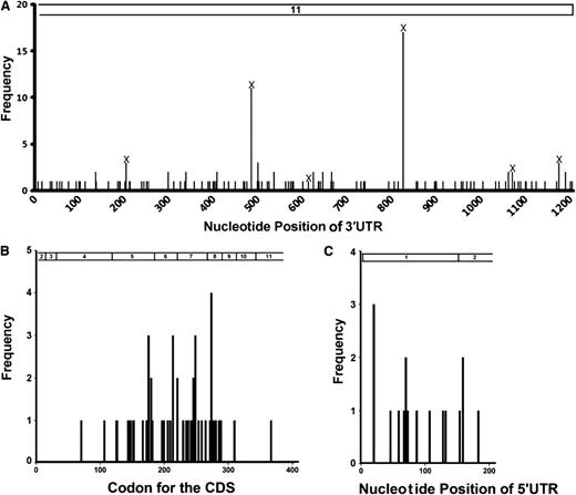 Figure 1. Distribution of variation in the TP53 gene in 244 de novo DLBCL patients. (A) Distribution of SNVs in the 3′UTR (part of exon 11; nucleotides 1385-2591 of NM_000546.5 of the TP53 reference mRNA). (B) Distribution of CDS mutations in exons 3 to 10 and part of exons 2 and 11 (top bar; nucleotides 203-1384 of NM_000546.5). (C) Distribution of 5′UTR SNVs in exon 1 and part of exon 2, nucleotides 1-202 of NM_000546.5. Numbers on the top indicate exons.