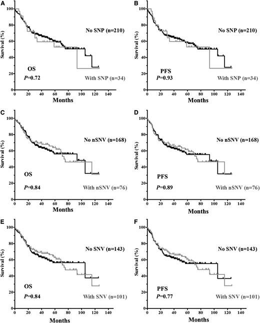 Figure 2. Kaplan-Meier estimates of OS and PFS in DLBCL patients with SNVs in the TP53 3′UTR. (A) OS of patients with or without SNPs. (B) PFS of patients with or without SNPs. (C) OS of patients with or without nSNVs. (D) PFS of patients with or without nSNV. (E) OS of patients with or without SNVs (either SNP or nSNV). (F) PFS of patients with or without SNVs.