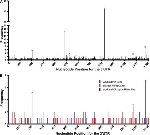 Figure 4. Variation in the TP53 3′UTR in 491 de novo DLBCL patients. (A) Distribution of SNVs in the 3′UTR. (B) Potential effects of SNVs on the interaction of p53 mRNA and miRNAs that are experimentally validated or predicted (by TargetScan) to target the TP53 3′UTR. SNVs listed in dbSNP are marked with ×.