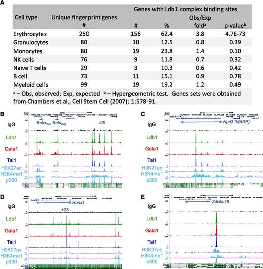 Figure 3. Enrichment of Ldb1 complex binding sites at erythroid genes and erythroid cis-regulatory elements. (A) Ldb1 complex binding sites at erythroid “fingerprint” genes.24 (B-E) UCSC Genome Browser shots of Ldb1 complex binding at known or presumed cis-regulatory elements: (B) β-globin LCR, (C) α-globin (MARE) cis-regulatory region, (D) Runx1 locus, and (E) presumed cis-regulatory element near Zdhhc19. Binding sites for p300 and H3K27ac, H3K4me1 profiles in MEL cells, and mammalian conservation tracks are shown at the bottom.