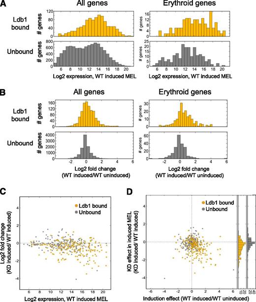 Figure 6. Direct regulatory function for Ldb1 complexes in the induced expression of erythroid genes in MEL cells. (A) Ldb1 complex–bound genes are more highly expressed in differentiated MEL cells. (Left) All Ldb1-bound genes (yellow, upper panel) compared with all unbound genes (gray, lower panel), P < 7.7 × 10−74. (Right) Erythroid Ldb1 complex–bound genes (yellow, upper panel) compared with unbound erythroid genes (gray, lower panel), P < 1.4 × 10−9. (B) Ldb1 complex–bound genes are more strongly induced in differentiated MEL cells. (Left) All Ldb1 complex–bound genes (yellow, upper panel) compared with all unbound genes (gray, lower panel), P < 1.0 × 10−32. (Right) Ldb1 complex–bound erythroid genes (yellow, upper panel) compared with unbound erythroid genes (gray, lower panel), P < 7.9 × 10−11. Significance for all comparisons was calculated by Mann-Whitney U. (C-D) Ldb1-complexes directly regulate the expression of erythroid genes. Stable clones of MEL cells expressing Ldb1 shRNA or control shRNA were treated with 1.5% dimethylsulfoxide to induce erythroid differentiation. Total RNA was isolated and gene expression was assayed by microarray. (C) Highly expressed erythroid genes are the most strongly down-regulated in Ldb1 KD MEL cells. Genes bound by Ldb1 complexes are depicted in yellow; unbound genes are in gray. Zero line is indicated (dotted line). (D) Erythroid genes that are most strongly induced in differentiated control MEL cells are the most strongly down-regulated in Ldb1 KD MEL cells. Erythroid genes bound by Ldb1 complex are shown in yellow; unbound genes are shown in gray. Zero lines are indicated (dotted lines). y-axis histograms show stronger KD of Ldb1 complex–bound erythroid genes relative to all erythroid unbound genes, respectively (P < 6.7 × 10−10; Mann-Whitney U).