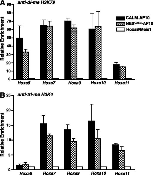 Figure 6. H3K79 and H3K4 are hypermethylated on the Hoxa locus in CALM-AF10 and NESCALM-AF10 leukemias. ChIP analysis of di-me H3K79 (A) and trimethylated H3K4 (B) in the promoter regions of the Hoxa cluster genes. Hoxa amplification was measured by real-time PCR as a percent of input then normalized to Hoxa9/Meis1 control leukemic cells. Black bars represent CALM-AF10, checkered bars are NESCALM-AF10, and white bars are Hoxa9/Meis1 leukemias. Results are shown as mean ± SEM compiled from 3 separate leukemias.