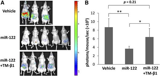 Figure 6. miRNA stimulation enhances antitumor activity of NK cells in vivo. (A) Ventral bioluminescence imaging of mice bearing A20 lymphoma. Athymic nude mice were injected with 1 × 105 luc-expressing A20 cells via tail veins and subjected to miRNA stimulation alone or combined with TM-β1 treatment according to the schedule described in the Materials and Methods section. The pseudo color indicates the relative signal strength for tumor growth, with strongest in red and weakest in purple. (B) Quantification summary of units of photons per second per mouse from (A). Data are shown as mean ± standard deviation from each group of mice. *P < .05; **P < .01.