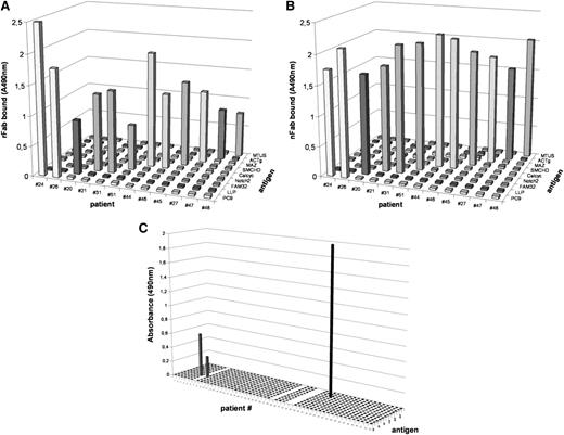 Figure 1. Reactivity and specificity of rFab and nFab derived from CLL cells from 12 patients tested for all identified CLL antigens. (A) rFabs obtained by BCR cloning and expression and (B) CLL-derived nFabs obtained by papain digestion show identical specificity in the ELISA using the recombinant CLL antigens as antigenic coats. (C) Reactivity and specificity of nFab derived from CLL cells from 47 patients tested for previously identified CLL antigens. On the x-axis, all 51 patients are shown (patients 29, 33, and 34 failed during Fab preparation; patient 7 does not qualify); the antigens tested are listed on the y-axis and included (from front to back: BSA, acetylated BSA, LDL, oxidized LDL (oxLDL), Streptococcus pneumoniae, calreticulin, cofilin, vimentin, myosin heavy chain 2A (MYH2A), U266 cells before and after induction of apoptosis with methotrexate, and CMV-derived pUL32 protein. Only 3 reactivities were detected: oxLDL was recognized by BCRs from patients 6 and 8 and MYH2A was recognized by patient 38.