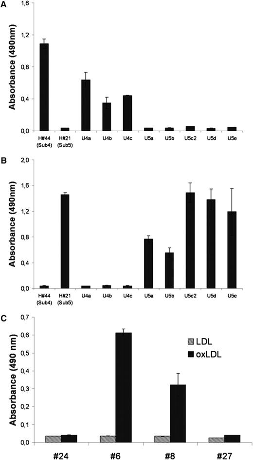 Figure 2. Antigenic specificity of CLL-derived BCR belonging to the same stereotype subset. In the ELISA nFabs derived from subsets 4 and 5, samples were incubated with Fam32A protein (A) or calcyclin-binding protein (B), respectively. The 4 subset-4 derived BCRs reacted specifically with CACYBP, whereas the 6 subset-5 derived BCRs bound specifically to Fam32A protein. (C) Fabs derived from subset-1 BCR reacted specifically with oxLDL. Gray columns, LDL; black columns, oxLDL.