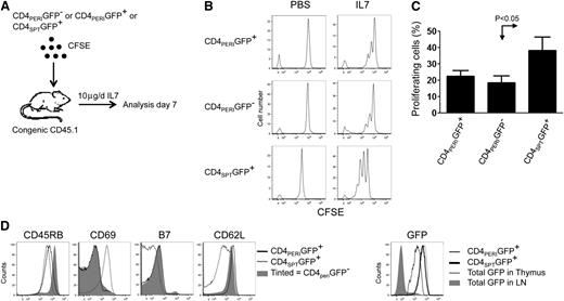 Figure 2. Recent thymic emigrants CD4+ do not proliferate more than peripheral CD4+ T cells during IL-7 therapy. (A) Schematic of the experimental design where CD45.2+CD4+PERIGFP+, CD45.2+CD4+PERIGFP−, and thymic CD45.2+CD8−CD4+SPTGFP+ cells were sorted from LNs or thymuses of CD45.2+Rag−/−GFP mice and stained with CFSE prior to their transfer into CD45.1+C57BL/6 mice. Recipient mice were then treated with PBS (vehicle) or rhIL-7 (10 μg/day) for 6 days. (B) Representative flow cytometric analysis of CFSE (CTV)–labeled CD4+PERIGFP+ and CD4+PERIGFP− and CD4+SPTGFP+ found in the LN of PBS- and IL-7–treated animals 7 days post transfer. (C) Graphic summary of the percentage of proliferating cells ± standard error of CD4+PERIGFP+, CD4+PERIGFP−, and CD4+SPTGFP+ based on the dilution of CFSE staining after 6 days of IL-7 therapy. (D) Phenotypic analysis of CD4+PERIGFP+, CD4+PERIGFP−, and CD4+SPTGFP+. Data show 2 animals per group from 2 experiments.