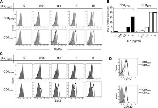 Figure 4. CD4+SPT are more sensitive to IL-7 therapy than CD4+PERI. (A) STAT5 phosphorylation in CD4+PERI vs CD4+SPT exposed to varying concentrations of rhIL-7. Results are representative of 3 independent experiments. (B) Quantification of bcl2 RNA expression on CD4+PERI and CD4+ SPT exposed to varying IL-7 concentrations for 6 hours. Data show 1 mouse representative of 3 independent experiments. (C) Bcl-2 expression in CD4+PERI vs CD4+SPT exposed to varying concentrations of rhIL-7. (D) Representative flow cytometric analysis of IL-7Rα (CD127) and CD132 (common γC chain) evaluated on fresh CD4+CD8− thymocytes (CD4+SPT) and peripheral CD4+ T cells. Data are representative of 5 mice pooled from 3 independent experiments.