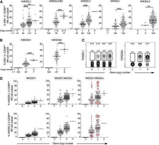 Figure 1. The KIR expression frequency correlates linearly with KIR gene copy number. Frequency of CD56dim NK cells expressing the indicated inhibitory (A) and activating (B) KIR stratified based on KIR gene copy number. (C) Representative examples of expression of the indicated KIR in donors with distinct copy numbers. (D) Frequency of 2DL1+ (top) and 2DL3+ (bottom) NK cells within the indicated subsets and stratified based on KIR gene copy number. Red dots represent the donors with statistical outliers identified by the Chauvenet algorithm. **P < .01; ***P < .001.