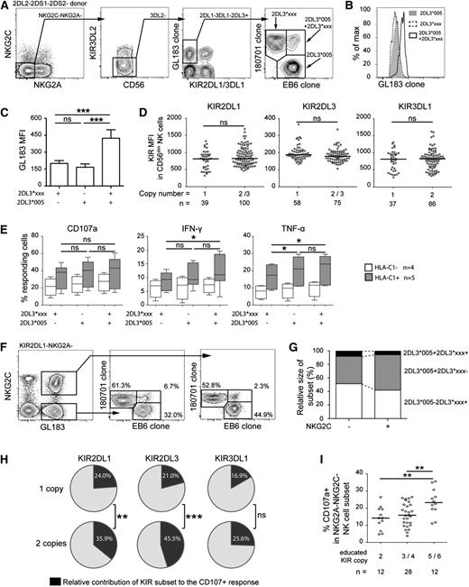 Figure 2. Influence of KIR gene copy number on NK cell education. (A) Gating strategy to identify single and bi-allelic expression of 2DL3 in donors lacking 2DS1, 2DS2, and 2DL2 genes. First, gates were set on NKG2C−NKG2A− NK cells to avoid differences in functionality due to NKG2C expression and/or education by NKG2A. Thereafter, 2DL3+2DL1− cells were gated out for further stratification into 2DL3*005 single positive cells (180701−EB6+), KIR2DL3*xxx single positive cells (180701+EB6−) and 2DL3*005/2DL3*xxx double positive cells (180701+EB6+). KIR2DL3*xxx represents all 2DL3 alleles recognized by mAb 180701. All donors were confirmed to be 2DL3*005 at the genetic level (B) Representative histogram and (C) bar chart (n = 9), showing the mean fluorescence intensity (MFI) (+/− standard deviation) of single and bi-allelic expression of 2DL3 (GL183+). (D) Expression levels (MFI) of 2DL1, 2DL3, and 3DL1 as a function of CNV. (E) Function (CD107a, IFN-γ and tumor necrosis factor-α) of single KIR-positive NK cells in donors stratified based on KIR gene CNV and the presence or absence of the corresponding KIR ligand. (F) One representative example and (G) recapitulative bar chart (mean of 3 donors) showing the allelic distribution in the expanded (NKG2C+) and the nonexpanded (NKG2C-) subset after gating on GL183+2DL1−NKG2A− CD56dim NK cells. All donors had the 2DL3*005/2DL3*xxx genotype. (H) Average contribution of the indicated KIR expressing subset to the CD107a response in donors with 1 or 2 copies of the KIR gene and with the cognate HLA-class I ligand. (I) Overall effect of KIR gene CNV on degranulation in the CD56dim NKG2A−NKG2C− NK cell compartment after exclusion of 2DL2/S2+ donors. *P < .05; **P < .01; ***P < .001. ns, not significant.