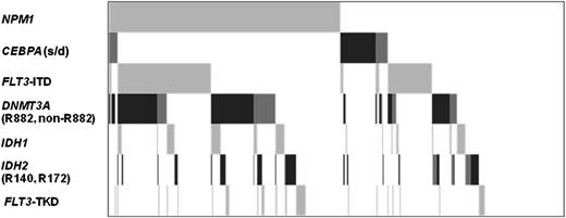 Figure 2. DNMT3A mutations and their association with other molecular markers. CEBPA single (s), light gray; CEBPA double (d), dark gray; DNMT3A R882, dark gray; DNMT3A non-R882, light gray; IDH2R140, dark gray, IDH2R172, light gray.