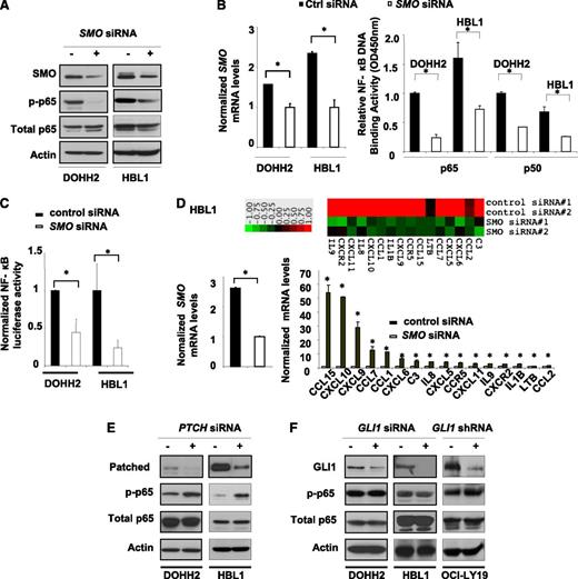 Figure 2. SMO activates NF-κB pathway independent of GLI1. (A) Silencing SMO in DOHH2 and HBL1 resulted in decrease of p-p65, (B) decrease of nuclear DNA binding activity of p65 and p50, and (C) decrease of total NF-κB luciferase activity. (D) Silencing SMO in HBL1 cells also resulted in decrease of 16 known direct NF-κB downstream target genes. The heat map was generated using TreeView software v1.1 (normalized, centered values). (E) Silencing PTCH in DOHH2 and HBL1 cells resulted in increase of p-p65. (F) No changes in p-p65 were seen after transiently silencing GLI1 by siRNA in DOHH2 and HBL1 or stably silencing GLI1 by shRNA in OCI-Ly19 cells. Data are presented as mean ± standard deviation of at least 2 independent experiments. P < .05.