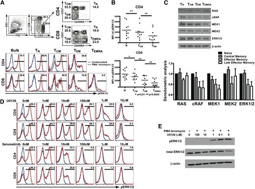 Figure 1. T-cell activation via the RAS/MEK/ERK pathway is memory stage–dependent, and suppressed by MEK inhibition. (A) PBMCs were stimulated with PMA:ionomycin with ERK1/2 phosphorylation assessed within CD4+ and CD8+ T-cell maturation subsets. (B) Aggregate results (from n = 10 healthy donors) depicting ERK1/2 MFI within maturation subsets. MFI, mean fluorescence intensity. (C) Expression of RAS/MEK/ERK pathway members in CD8+ T cells by western blotting and collective results with densitometry values (from n = 3 healthy donors) standardized relative to expression in naive T cells. (D) ERK1/2 phosphorylation within PMA:ionomycin-activated CD4+ and CD8+ T cells with U0126 or selumetinib analyzed by phosphoflow cytometry. (E) Confirmation of dose-dependent inhibition of PMA:ionomycin-induced activation of purified CD3+ human T cells by U0126 by western blotting.