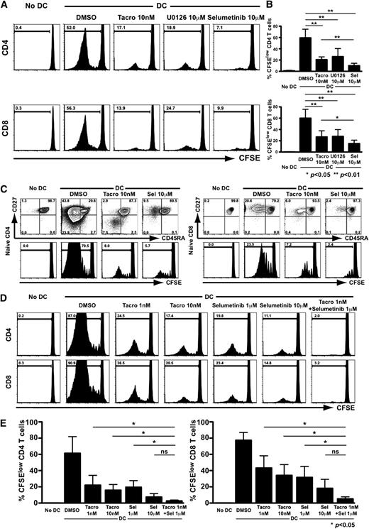 Figure 3. MEK inhibitors effectively suppress human alloreactivity alone and synergistically with calcineurin inhibitors. (A) CFSE-labeled PBMC were cultured with allogeneic DCs with DMSO, tacrolimus, U0126, or selumetinib for 7 days, with division profiles measured by CFSE dye dilution. (B) Aggregate results (n = 6) depicting the percentage of CFSElow CD4+ and CD8+ T cells in the presence of DMSO, Tacrolimus (Tacro), U0126, and selumetinib (Sel). Results shown depict means + SD. *P < .05; **P < .01. (C) Naive (CD45RA+CD27+) CD4+ and CD8+ T cells were sorted, CFSE-labeled and cultured with allogeneic DCs in the presence of DMSO, tacrolimus, or selumetinib (Sel). In addition to CFSE dilution, functional differentiation was assessed by examining CD27 and CD45RA expression. Data representative of 5 consistent and independent experiments is shown. (D-E) CFSE-labeled PBMCs were cultured with DCs along DMSO (control), tacrolimus, and selumetinib (alone and in combination with suboptimal tacrolimus levels). (E) Aggregate results (n = 4) depicting the percentage of CFSElow CD4+ and CD8+ T cells demonstrate synergistic inhibition by tacrolimus (Tacro) and selumetinib (Sel). Results depict means + SD. *P < .05.