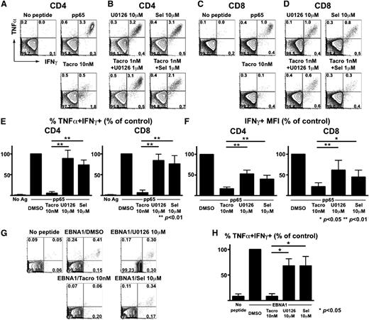 Figure 4. MEK inhibitors spare polyfunctional CMV- and EBV-specific T cells at doses inhibiting alloreactivity. (A-D) PBMCs from a healthy CMV-seropositive donor were stimulated with CMV pp65 peptide mixture along with DMSO (control), tacrolimus (Tacro), U0126, or selumetinib (Sel). (A) Tacrolimus-associated loss of polyfunctional CMV-specific CD4+ T cells. (B) Relative sparing of polyfunctional CMV-specific CD4+ T cells despite MEK inhibition. (C) Tacrolimus leads to loss of polyfunctional CMV-specific CD8+ T cells. (D) Relative sparing of polyfunctional CMV-specific CD8+ T cells despite MEK inhibition. (E) Aggregate results (n = 5 donors) depicting the frequencies of polyfunctional (TNFα+IFNγ+) CMV-specific cells are shown as mean + SD. Y-axis depicts the percentage of TNFα+IFNγ+ T cells, relative to control. (F) Results (n = 5) depicting the MFI of IFNγ-producing cells are shown as mean + SD. Y-axis depicts the percentage of IFNγ+ T cells, relative to control.*P < .01; **P < .05. (G-H) Healthy donor PBMCs were stimulated with an EBV-derived EBNA1 peptide mixture along with DMSO, tacrolimus, U0126, or selumetinib (Sel) and EBV-specific CD8+ T cells responses were analyzed. (H) Aggregate results (n = 3 donors) depicting the relative sparing of polyfunctional EBV-specific CD8+ T cells by MEK inhibitors. Differences are shown as means + SD. *P < .05.